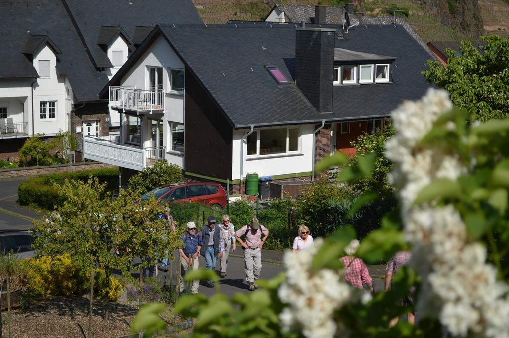 Weingut Im Moselkrampen Apartment Ellenz-Poltersdorf Exterior photo